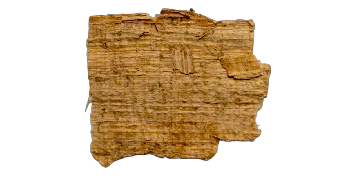 Fragmento de Papiro